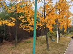 -白鹿原影视城
