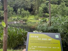 -云溪植物园