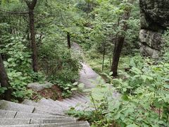 -汤旺河林海奇石景区