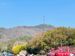 -敬亭山风景名胜区