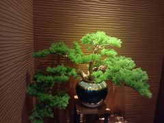 -大桶大足浴(金桥店)