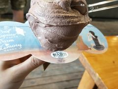 -野人牧坊Gelato(天津南开大悦城店)