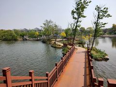 -杭州湾海上花田景区