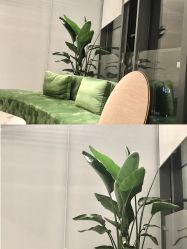 -HYOUNG 禾漾·BTL官方美学中心