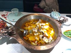 -雲蜀龙阁·金牌水煮鱼(方庄店)