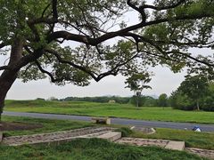 -良渚古城遗址公园