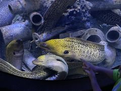 -成都浩海立方海洋公园