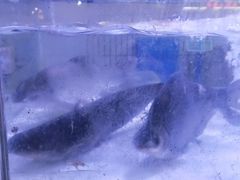 -广客美食坊(丹霞山店)