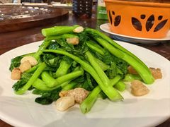 -老广酒楼(樱花店)