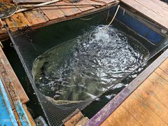 -蓝湾碧波·老字号·疍家非遗海上餐厅