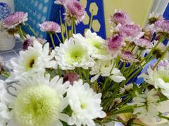 -成都濑川外国语学校