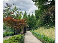 -重庆彩云湖湿地公园