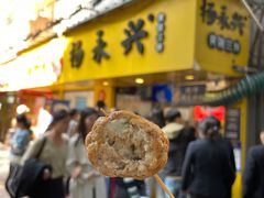 黄陂肉圆-杨永兴黄陂三鲜(雪松路店)