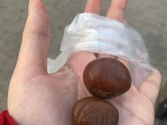 -栗满秋(燕丰西坝河店)