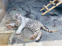 -西安秦岭野生动物园