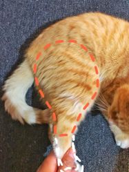 -私家美林护肤造型