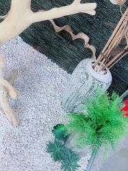 -木北造型