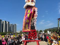 -光明小镇欢乐田园