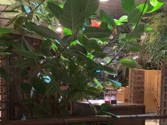 -金稼园·金平湖农家菜