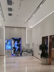 -深圳美莱医疗美容医院