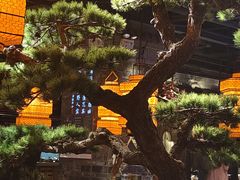 -绿茶餐厅(松江万达店)