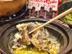 -邹开喜·炭炉鸡煲·海鲜火锅(虹口足球场店)