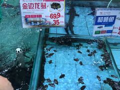 -渔民新村(番禺总店)