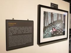 -上海动漫博物馆