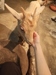 -Zoolung Zoolung动物主题公园(海信广场店)