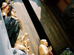-上海东林寺(金山区)