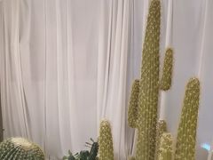-悦海·家宴·冰花皮皮虾大锅贴(宝龙店)