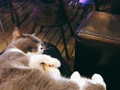 -雪茄客PURAVIDA俱乐部(上海店)