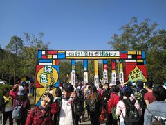 -田野绿世界