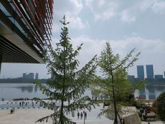 -星巴克(成都科学城店)