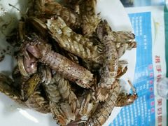 android_upload_pic-海滨假日渔家海鲜