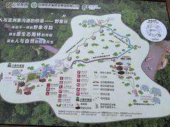 -野象谷景区