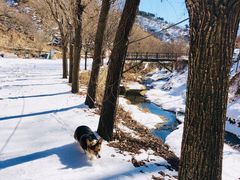 -北京水岸山吧度假村(雁栖镇店)
