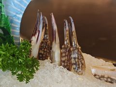 -松涛园朝鲜·海鲜·料理店(鸭绿江断桥店)