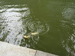 -酷鱼垂钓CLUB(朝阳区博大路店 )