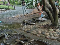 -成都市活水公园