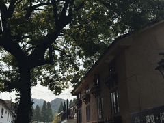 -杭州西湖风景名胜区-满觉陇四眼井