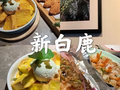 -新白鹿餐厅(金鹰新街口店)