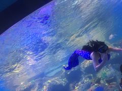 -沙沙哗啦海洋馆(华宇百花谷店)