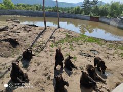 -北极村旅游风景区