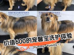 -汪小喵宠物·戴维斯乐芳希施宠馨宝皮毛调理洗护店