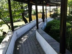 -上海醉白池公园