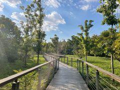 -昆山城市生态森林公园