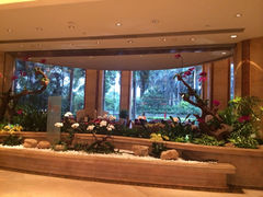 iphone_upload_pic-广州香格里拉酒店
