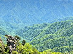 -朱雀国家森林公园
