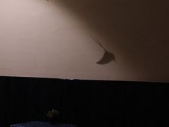 -灶咖KITCHEN